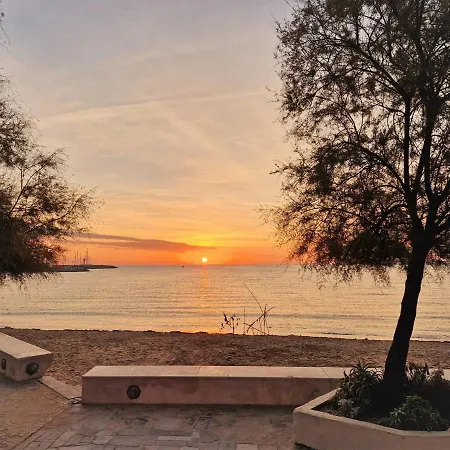 Apartment Le Lavandou, 2 Pieces, 4 Personnes - Fr-1-251-483